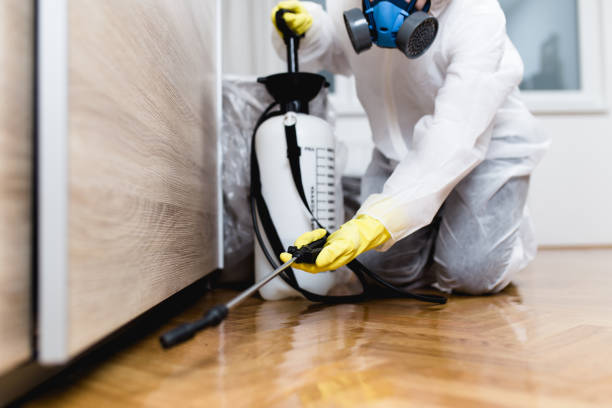 Trusted Mastic Beach, NY Pest Control Experts