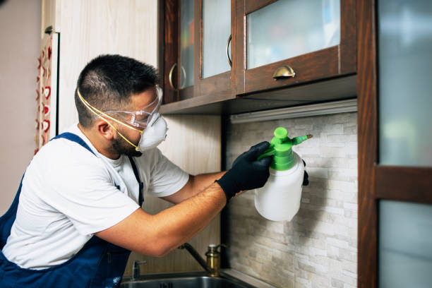 Best Pest Inspection Near Me  in Mastic Beach, NY