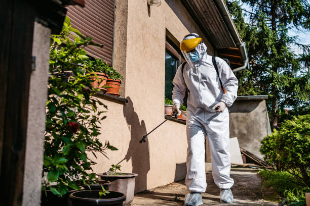 Best Commercial Pest Control Services  in Mastic Beach, NY