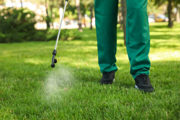 Best Pest Removal Services  in Mastic Beach, NY
