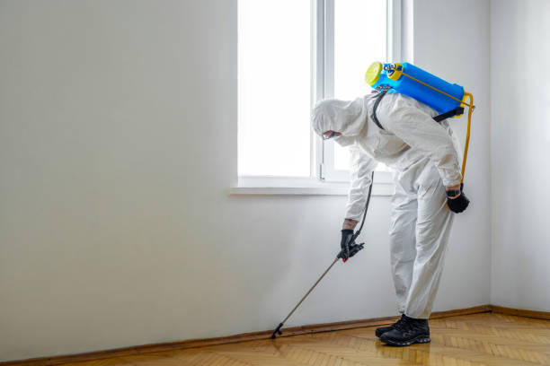Best Wasp Removal Services  in Mastic Beach, NY