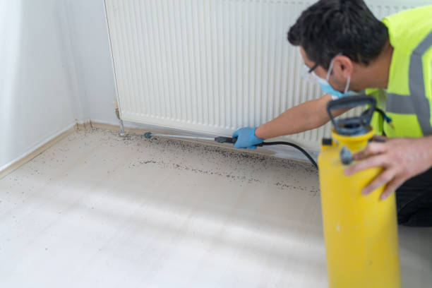 Best Best Pest Control Companies  in Mastic Beach, NY